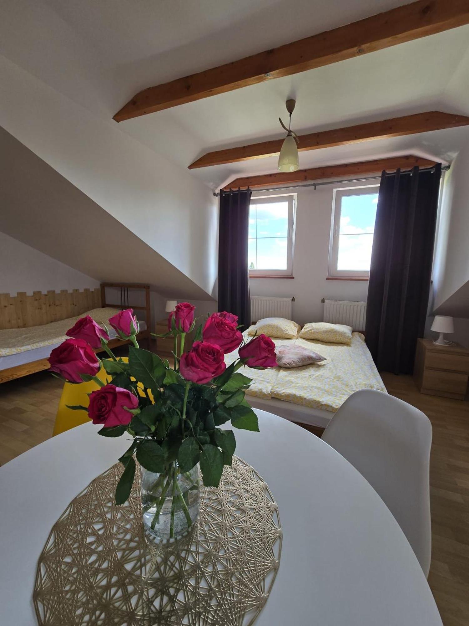 Villa Mango Wladyslawowo Chlapowo Exteriér fotografie